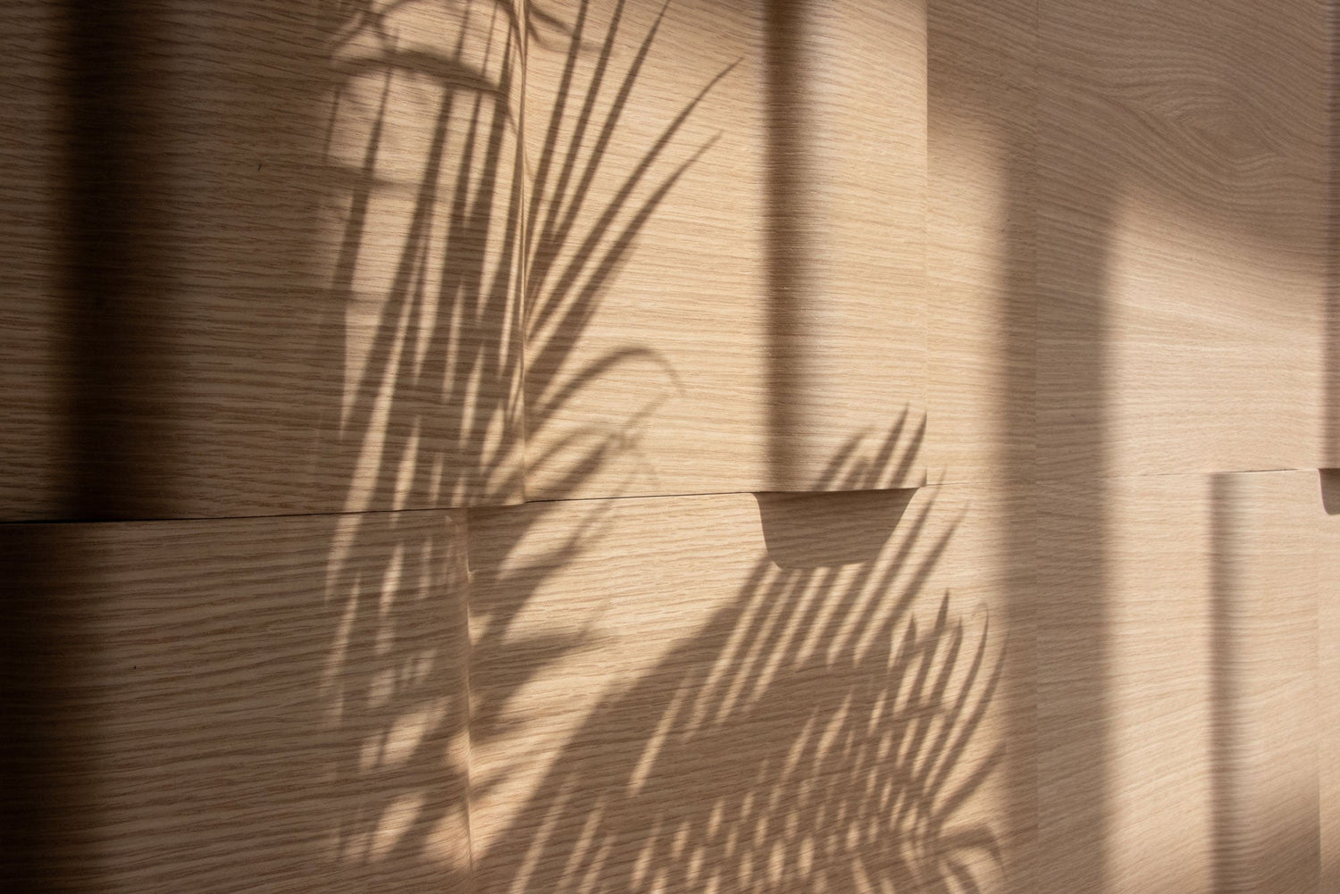 A dimensional wood wall covering in white oak with the shadow of palm leaves on it