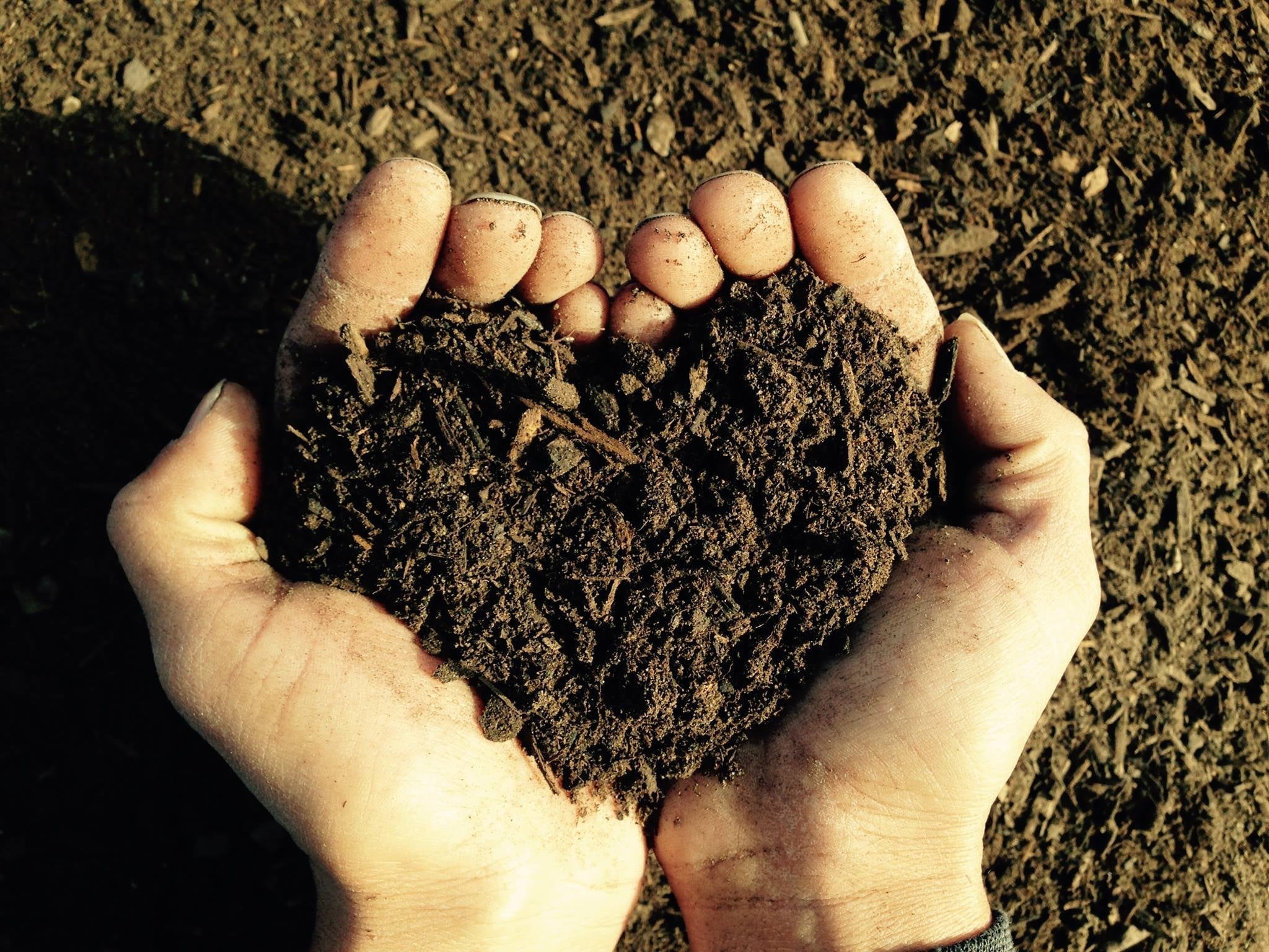 Submaterial is Now Composting!