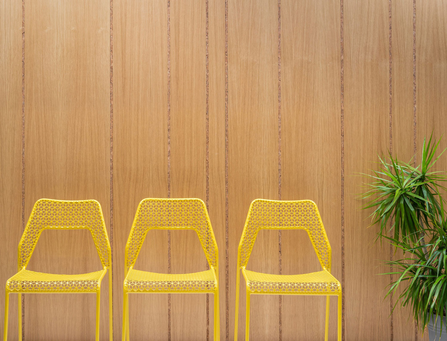 Wood Wall System