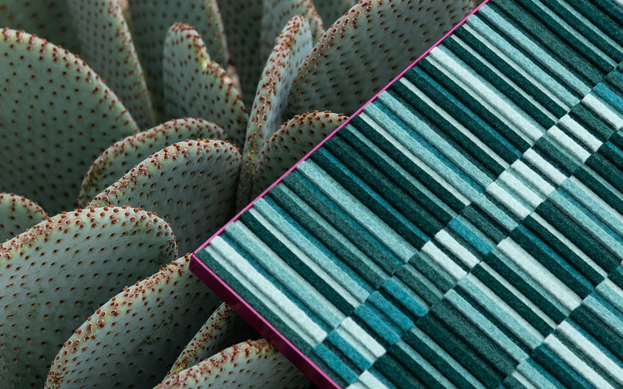 Close-up of a cactus with a felt panel in tones of green lines and a violet colored frame.