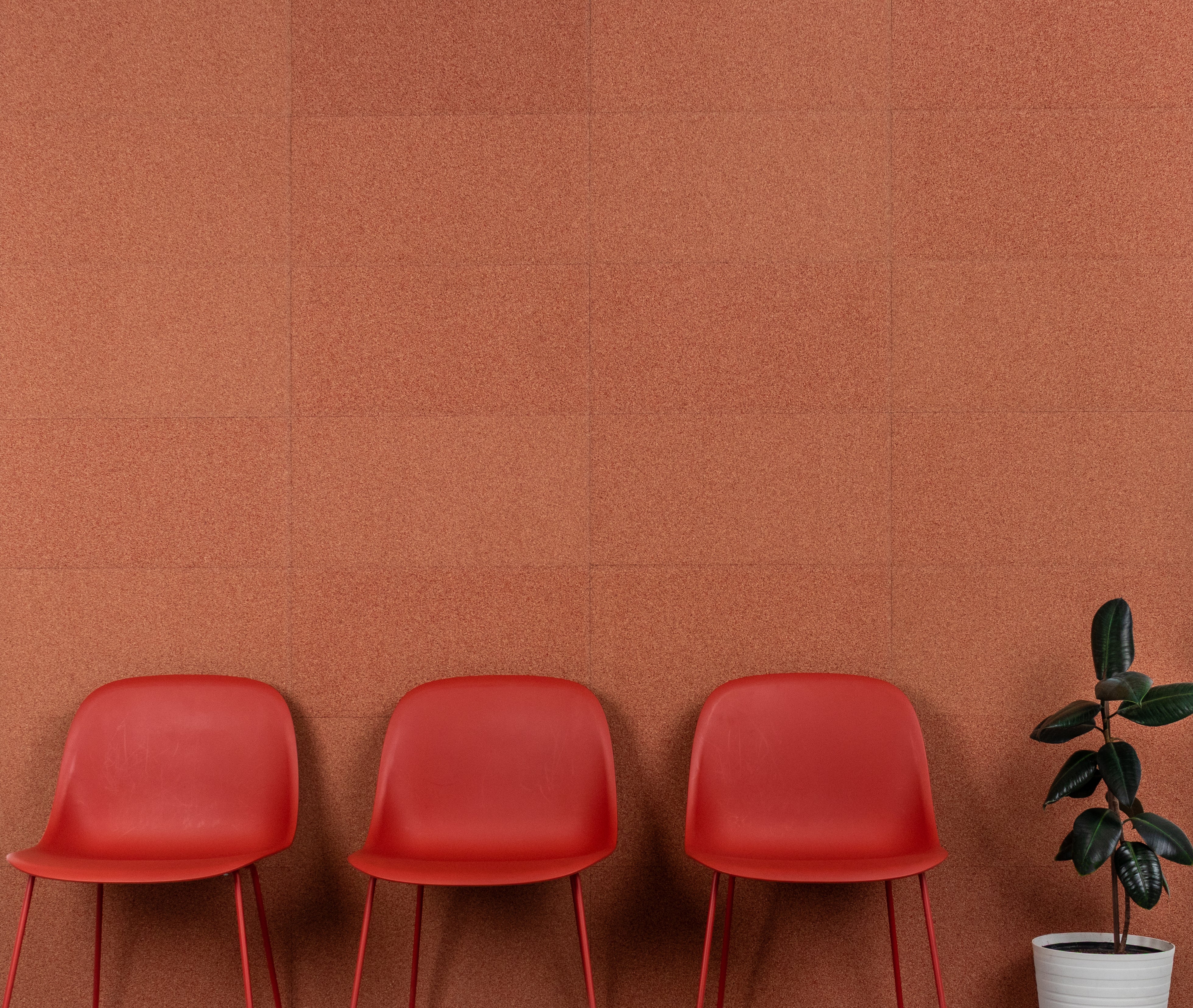 Three red chairs lined up against a textured red cork wall with a potted plant on the right.