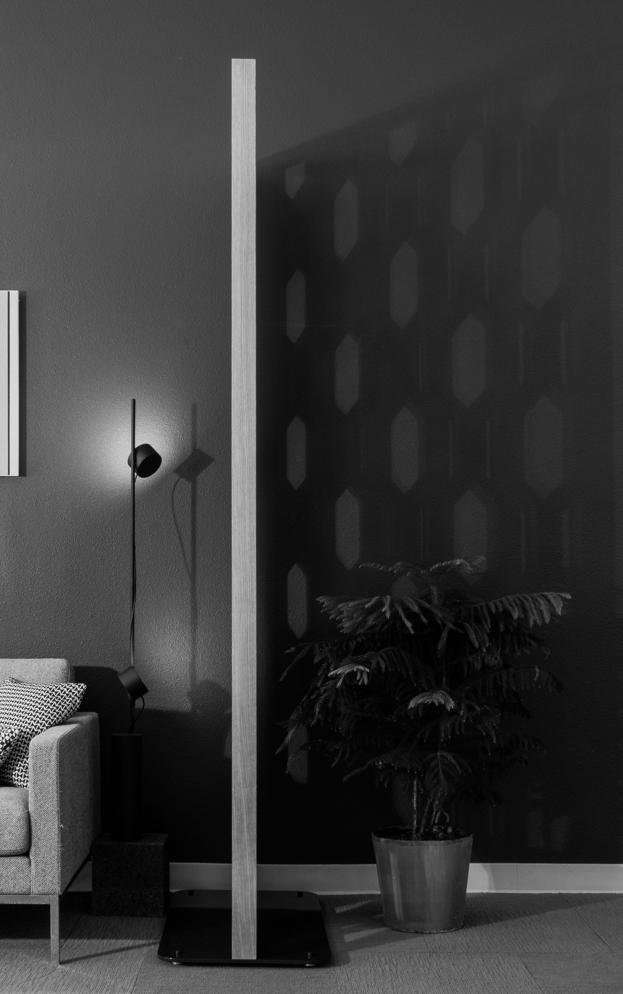 Modern interior with a plant, chair, and free-standing screen seen from the side, which is casing a shadow on the wall.