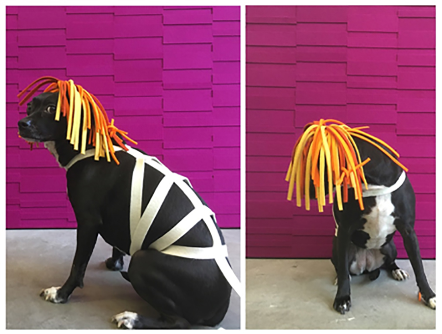Two images of dog wearing a headpiece of strips of yellow and orange felt in front of a pink wool felt wall